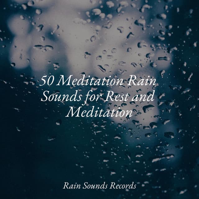 50 Meditation Rain Sounds for Rest and Meditation - Naturaleza Sonidos