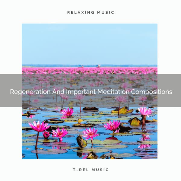 Regeneration And Important Meditation Compositions - Sanctuary Of Relax