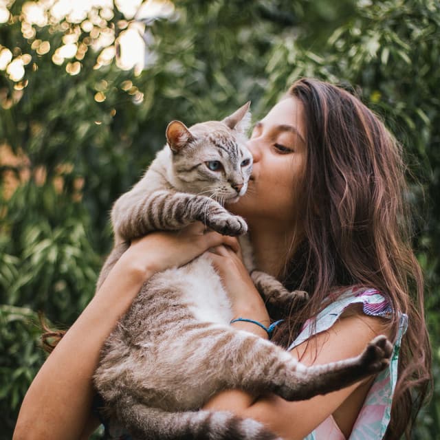 Feline Fallscape Harmony: Chill Sound Waters for Cat Companionship - Aurise