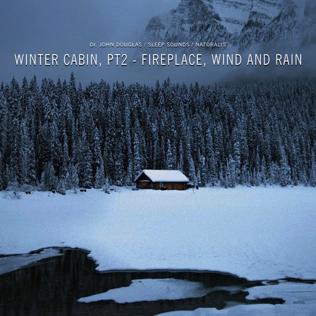Winter Cabin, Pt. 2 - Fireplace, Wind and Rain - Dr. John Douglas