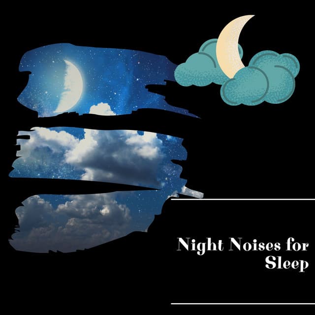 Night Noises for Sleep - Night Nature Sounds