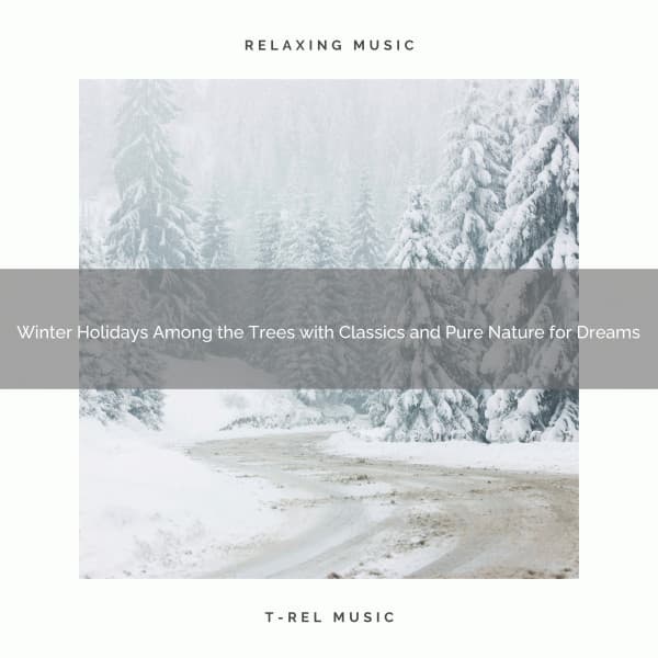 Winter Holidays Among the Trees with Classics and Pure Nature for Dreams - The Outdoor Library