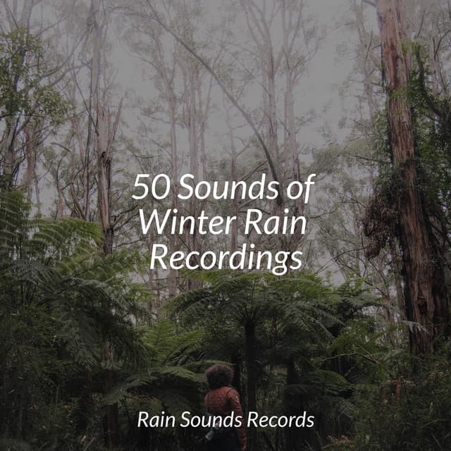 50 Sounds of Winter Rain Recordings - Relaxing Mindfulness Meditation Relaxation Maestro