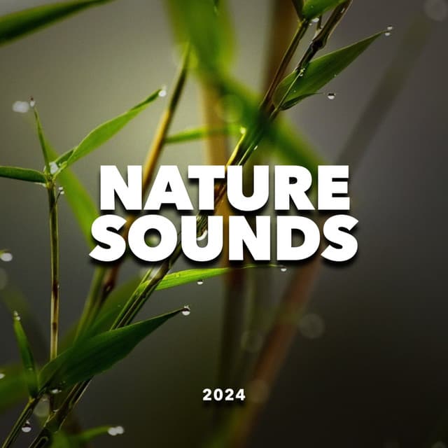 Nature Sounds 2024 - Soothing Dog Sounds