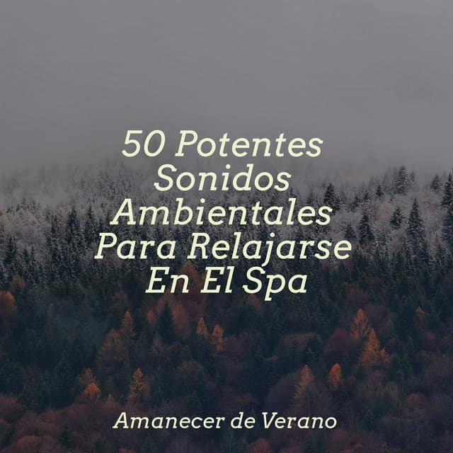 50 Potentes Sonidos Ambientales Para Relajarse En El Spa - kinderliedjes