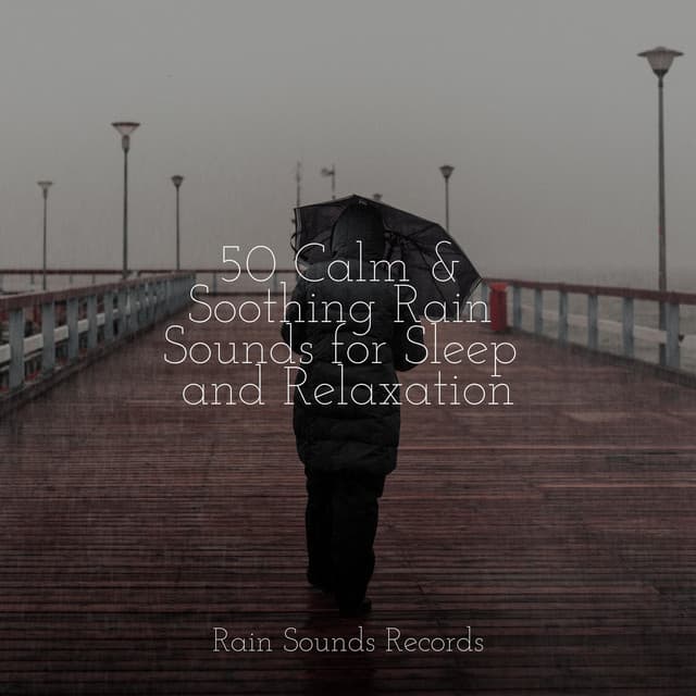 50 Calm & Soothing Rain Sounds for Sleep and Relaxation - Sons da Natureza