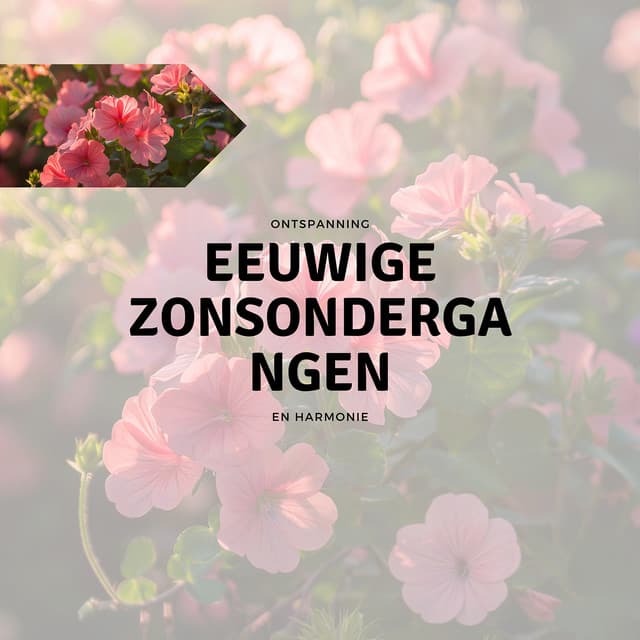 Eeuwige Zonsondergangen - Ontspanning en Harmonie