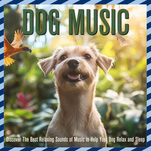 Dog Music: Discover The Best Relaxing Sounds of Music to Help Your Dog Relax and Sleep - Dog Music Dreams