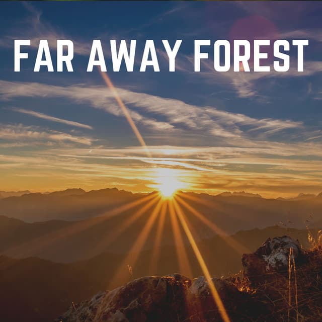 Far Away Forest - Nature Of Sweden