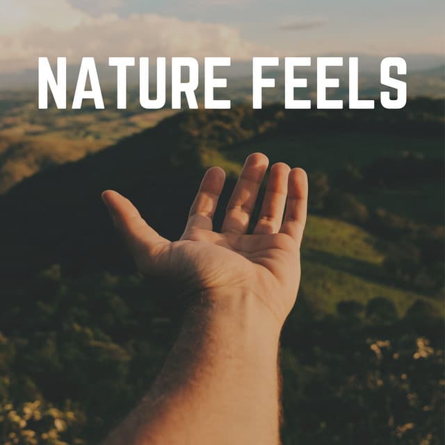 Nature Feels - Binaural Landscapes