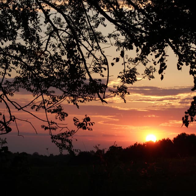 Gentle Lofi Beats for Peaceful Evenings - Lofi Music 2024