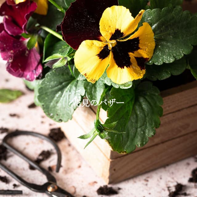 Easy Listening Instrumental Music