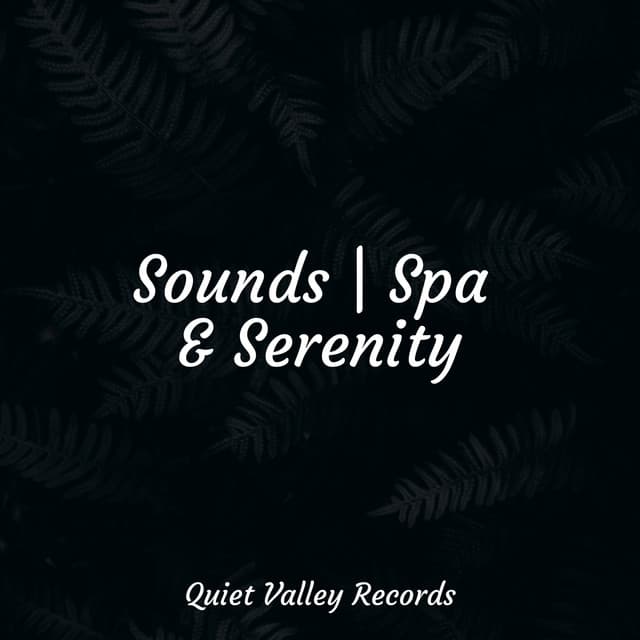 Sounds | Spa & Serenity - Calm Down