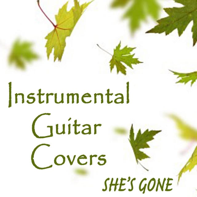 Instrumental Guitar Covers - She's Gone - Steve Petrunak