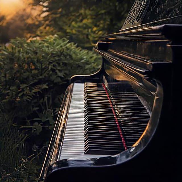 Reflexiones Calmadas De Piano: Música Para Meditación - Espacio sagrado tranquilo