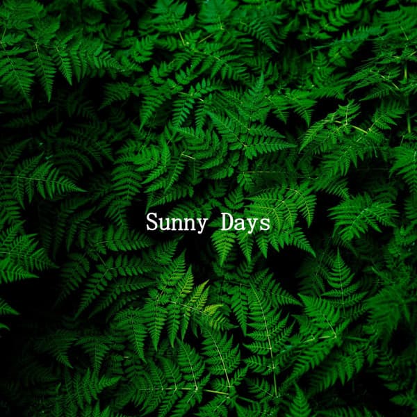 Sunny Days - Bossanova Jazz