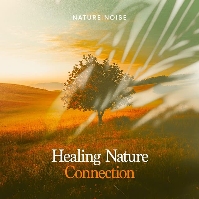 Healing Nature Connection - Nature Noise