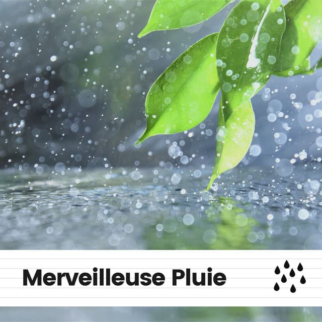 Merveilleuse Pluie - Hi-Def FX