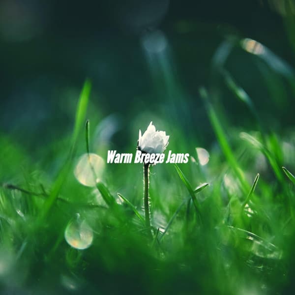 Warm Breeze Jams - Old Classic Jazz