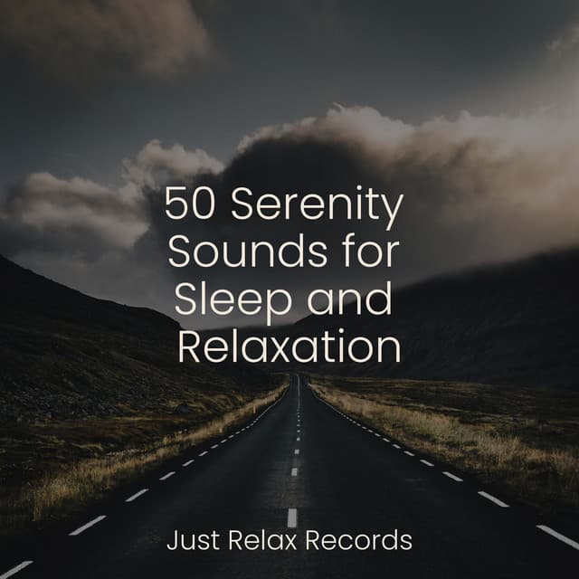 50 Serenity Sounds for Sleep and Relaxation - Reiki Music