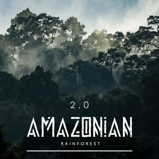 Amazonian Rainforest 2.0 - Forest Hills Music Universe