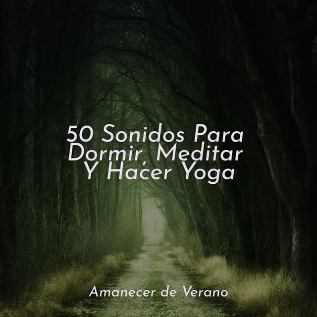 50 Sonidos Para Dormir, Meditar Y Hacer Yoga - Yoga Sounds