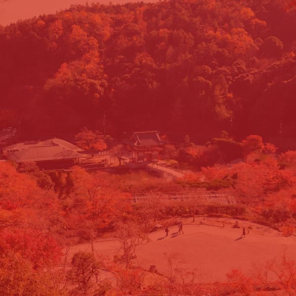 Jazz Guitar Solo - Background Music for Storytelling - Elevator Music All-Stars