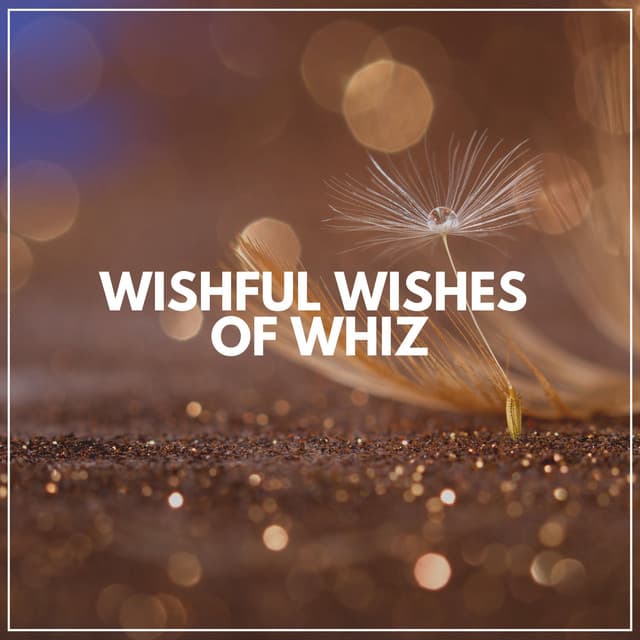 Wishful Wishes of Whiz - LO-FI BEATS
