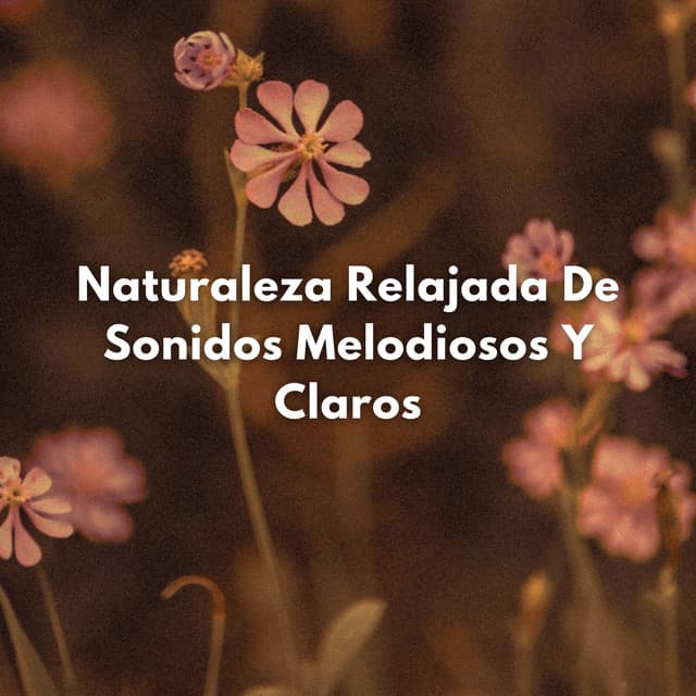 Naturaleza Relajada De Sonidos Melodiosos Y Claros - Naturaleza de Suecia