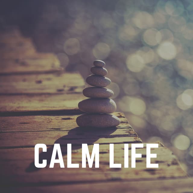 Calm Life - Ultimate Massage Music Ensemble