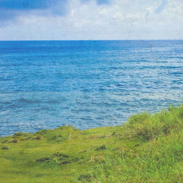 Weekend Classics - Johann Sebastian Bach