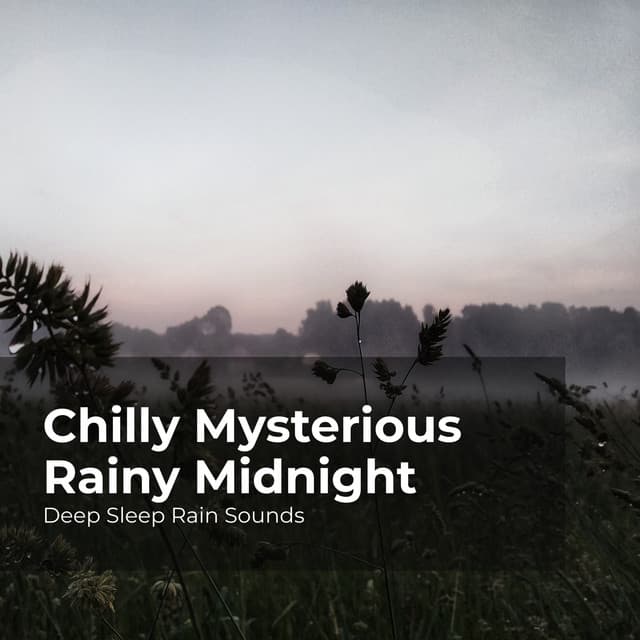 Chilly Mysterious Rainy Midnight - Deep Sleep Rain Sounds