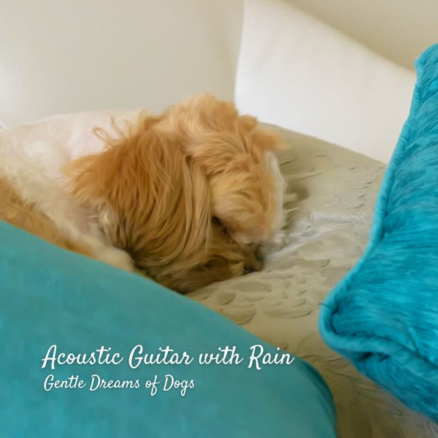 Acoustic Guitar with Rain: Gentle Dreams of Dogs - Good Dog Music