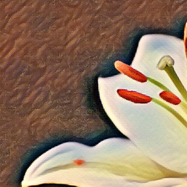 Contemporary Acoustic and Electric Bossa Nova Piano Duo - Bgm for Loose Relaxation - Instrumental Sleeping Music