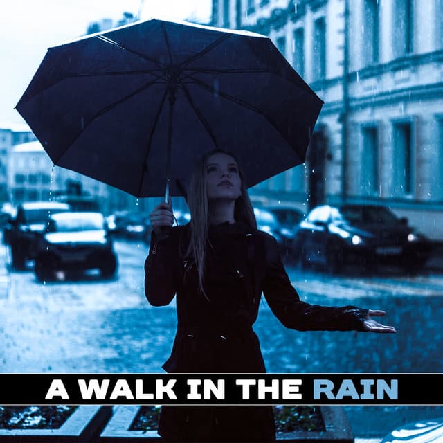 A Walk in the Rain: Soothing Sounds of Nature for Relaxation, Mindfulness Meditation, Best Sleep Aid, Healing Rain for Reiki Therapy, Dreamy Mood - Healing Rain Sounds