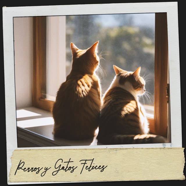 Perros y Gatos Felices: Melodías de la naturaleza - Relajacion