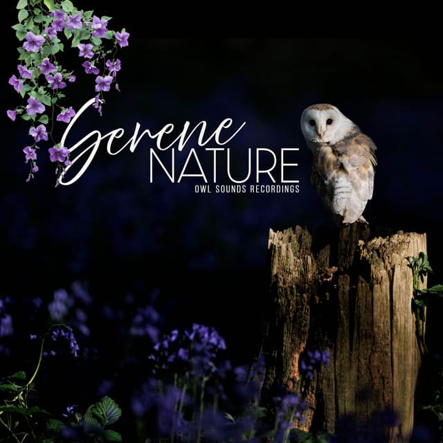 Serene Nature - Owl Sounds Recordings