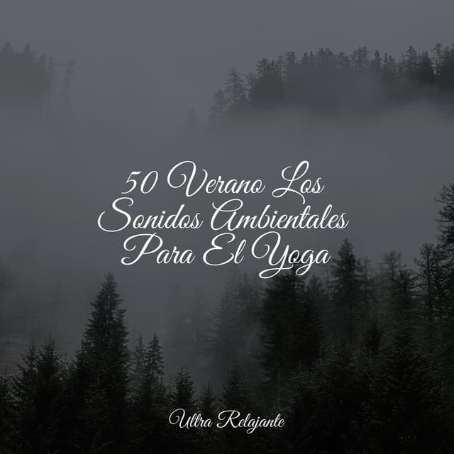 Naturaleza Relajacion