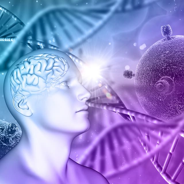 Mind Ascension: Enhance Focus, Unlock Creativity, Achieve Clarity, and Immerse in Deep Cognitive Flow - Joshua Miracl