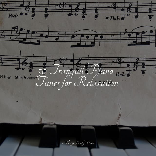 50 Tranquil Tracks to Relax Your Mind - Relaxed Minds