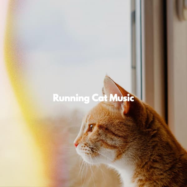 Running Cat Music - Toronto Coffee Shop Jazz