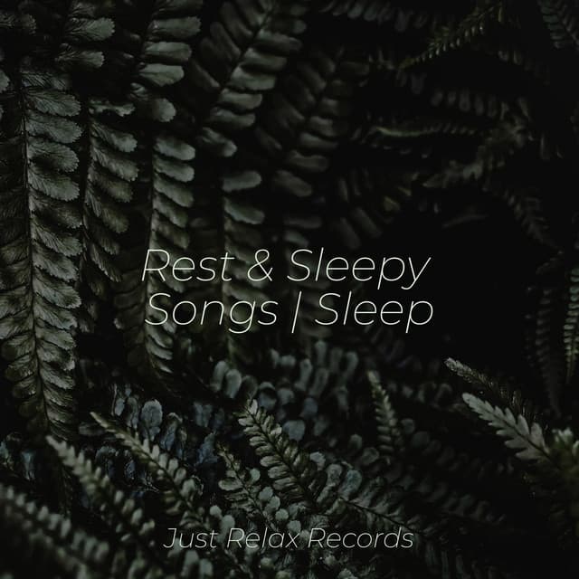 Rest & Sleepy Songs | Sleep - Study Hard