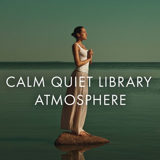 Calm Quiet Library Atmosphere - Solara Dawn
