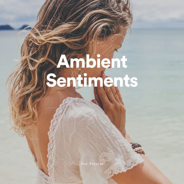 Ambient Sentiments - Music for Working