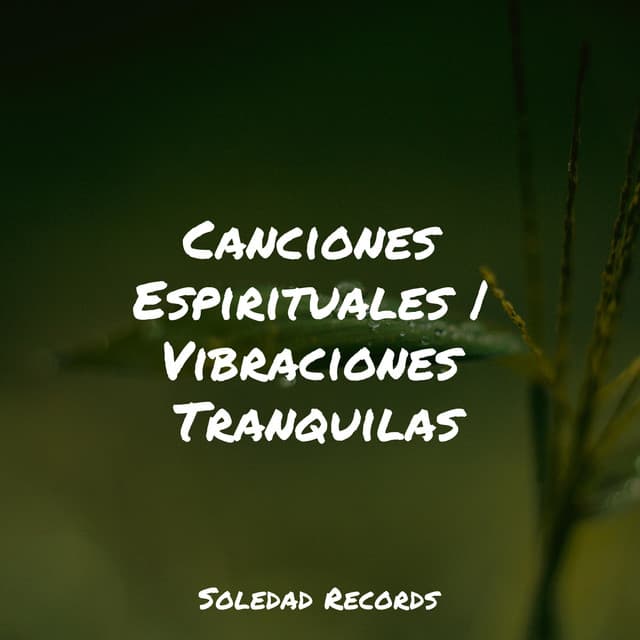 Canciones Espirituales | Vibraciones Tranquilas - Meditaciónessa
