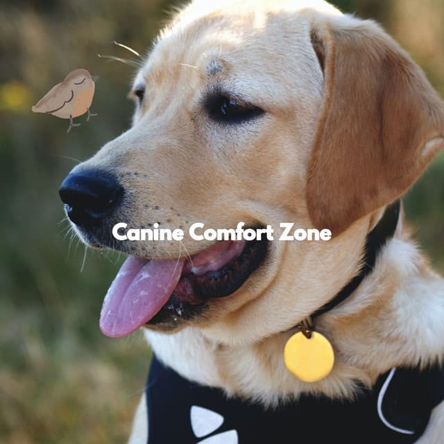 Canine Comfort Zone - Calming Dog Jazz