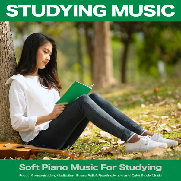 Studying Music: Soft Piano Music For Studying, Focus, Concentration, Meditation, Stress Relief, Reading Music and Calm Study Music - Study Music
