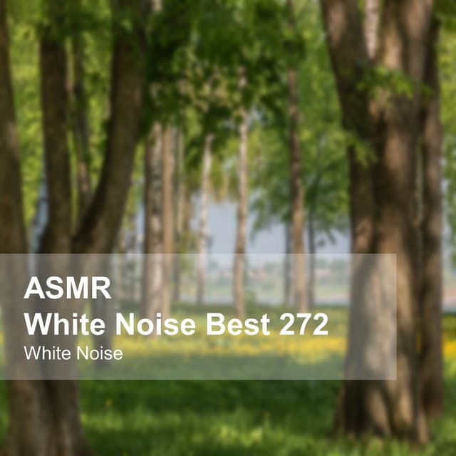 White Noise ASMR Best 272 - White Noise