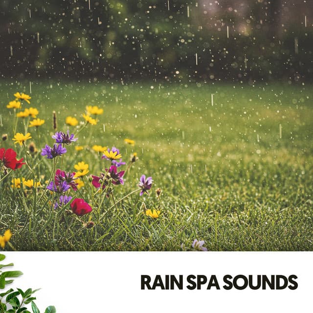Rain Spa Sounds: Wer Earth - Cat Music Therapy
