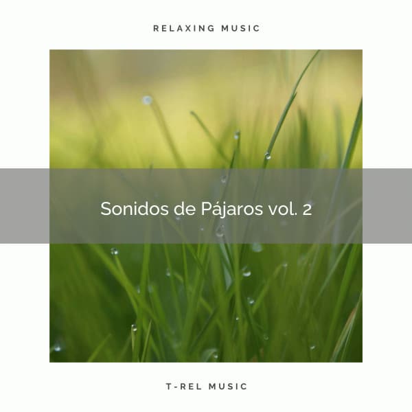! ! ! ! ! ! ! Sonidos de Pájaros vol. 2 - Musica Para Dormir y Sonidos de la Naturaleza